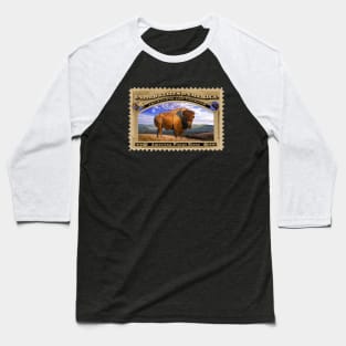 American Bison - Abundance and Freedom Baseball T-Shirt